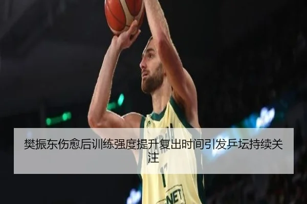 樊振东伤愈后训练强度提升复出时间引发乒坛持续关注（kaiyun）